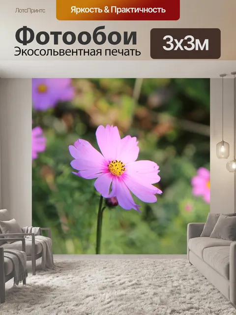Фотообои Космос