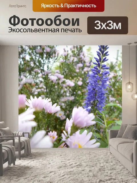 Фотообои Белый и голубой цветок