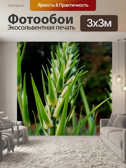 Фотообои бутонов на стебле