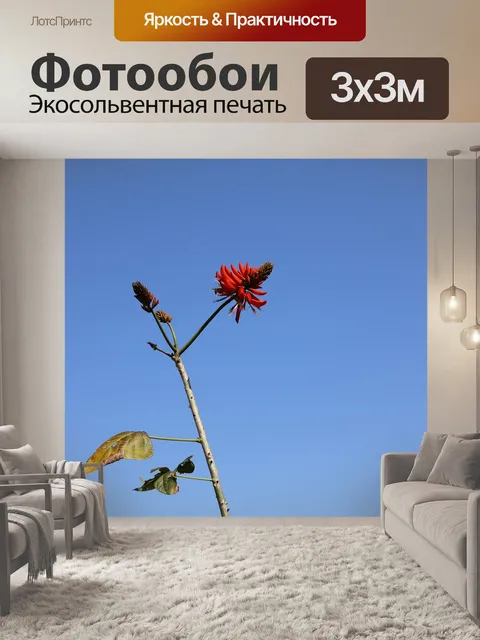 Фотообои Гуандун