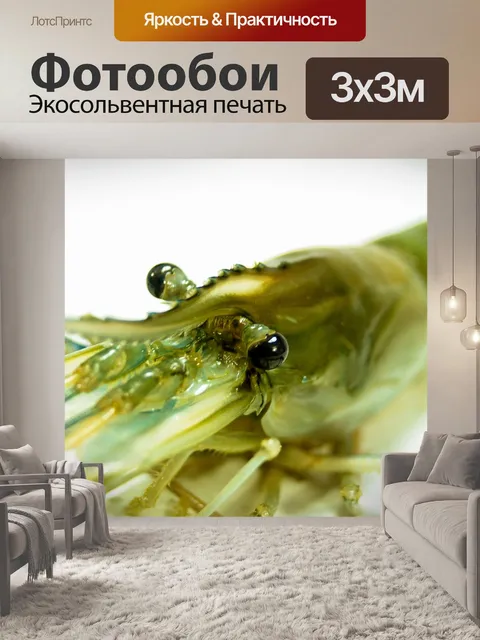 Фотообои Свежие приготовленные креветки фон мореп