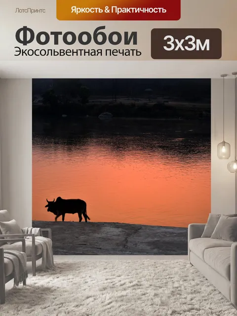 Фотообои Коляска