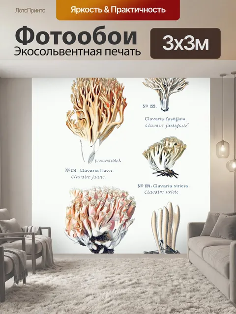 Фотообои Грибы винтаж арт старый