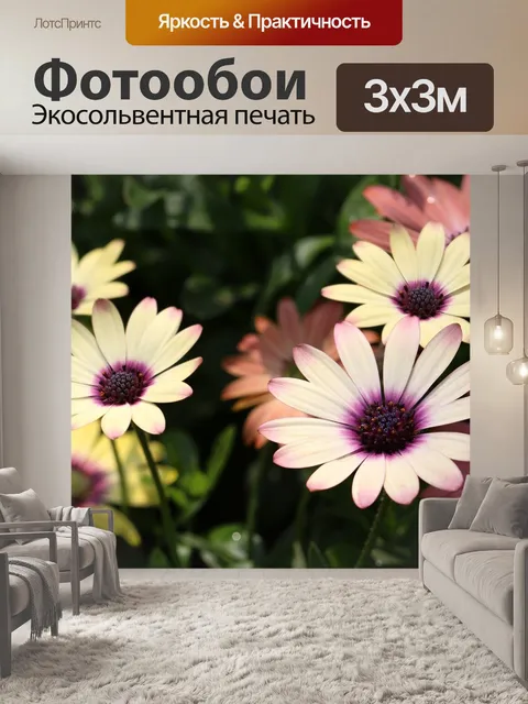 Фотообои Африканские ромашки