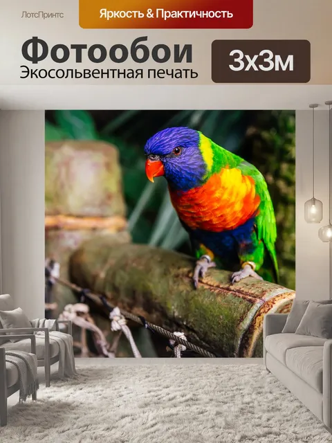 Фотообои Попугай
