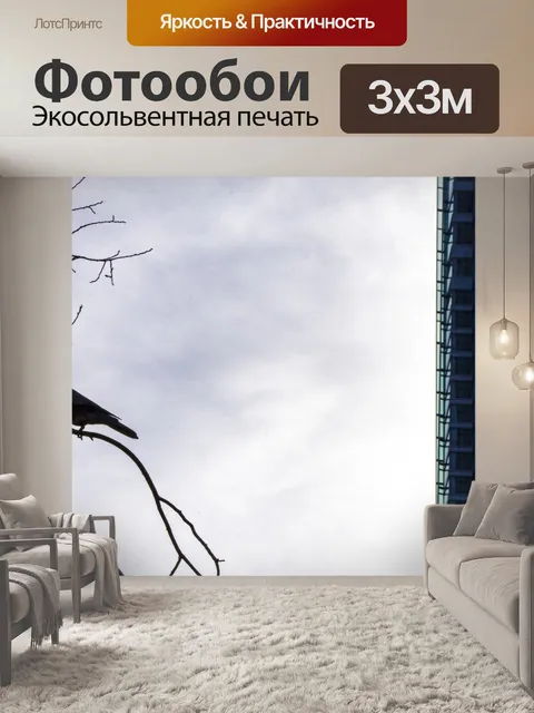 Фотообои Город Голубь