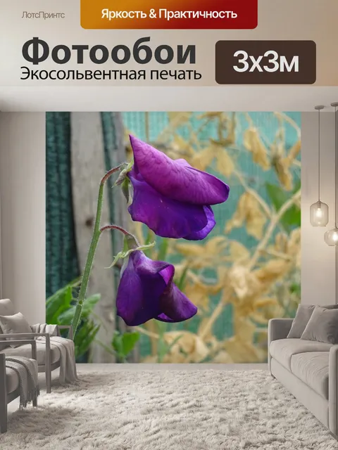 Фотообои Цветы