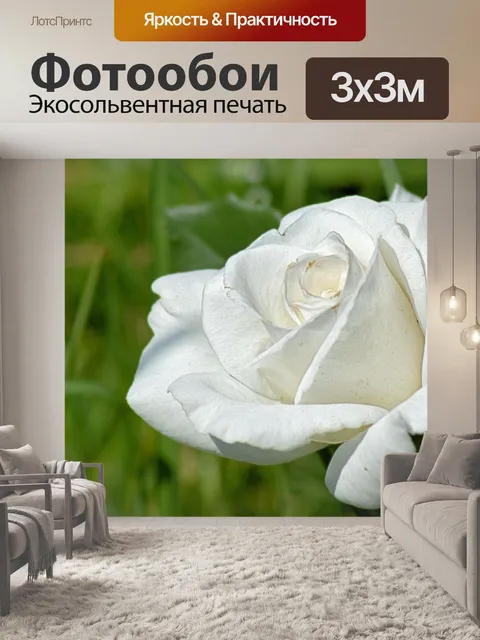 Фотообои Розы