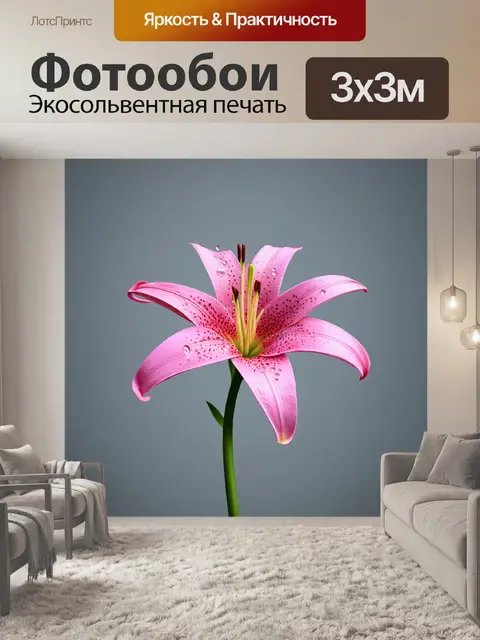 Фотообои розовая лилия на простом сером фоне, выполненная в технике гиперреализма