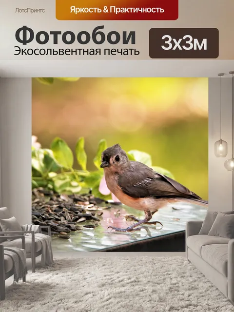 Фотообои Молодая тифма с тыквой на столе