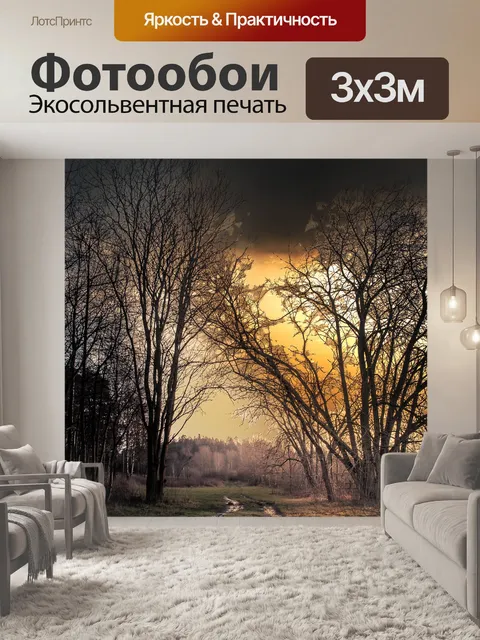 Фотообои Лес