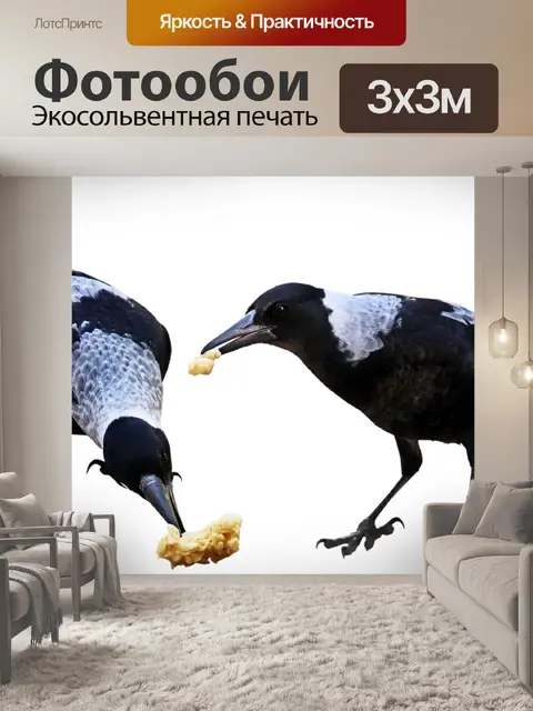 Фотообои Птицы
