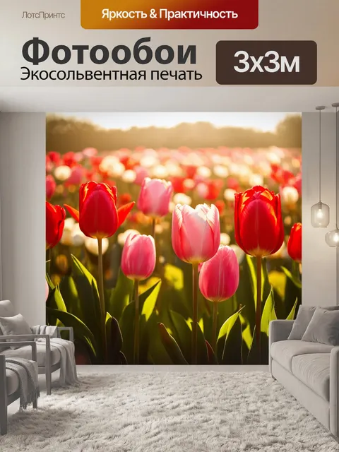 Фотообои изображение поля тюльпанов в лучах утреннего солнца, создающее волшебную атмосферу