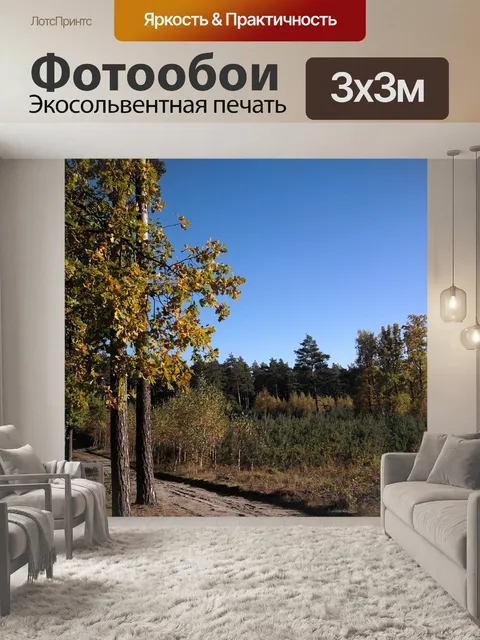 Фотообои Лес
