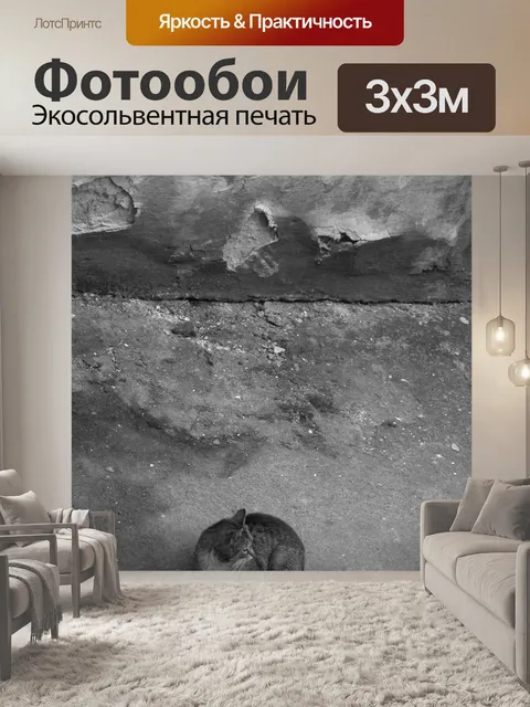 Фотообои Кошка