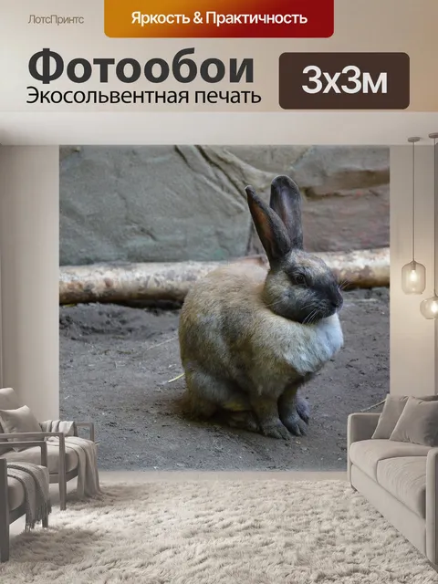 Фотообои Кролики 07
