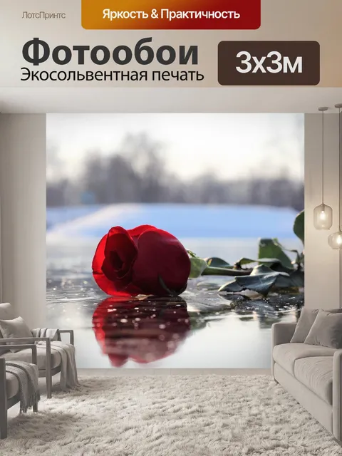Фотообои Красная роза на льду
