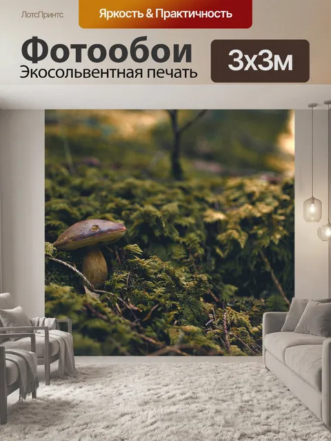 Фотообои Лес