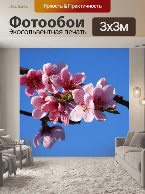Фотообои Персик