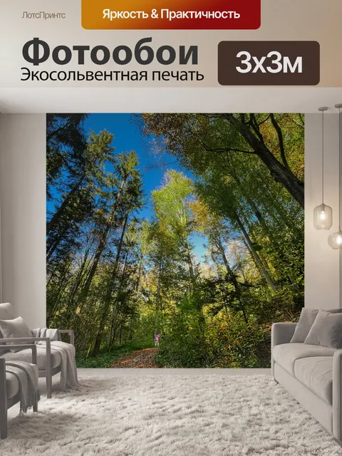 Фотообои Лес