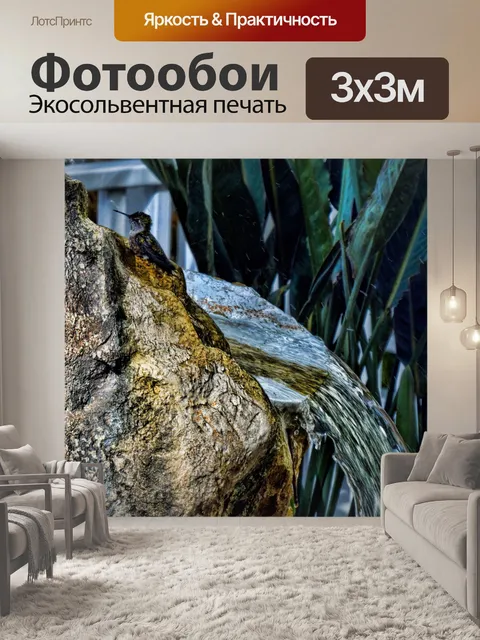 Фотообои Колибри и водопад