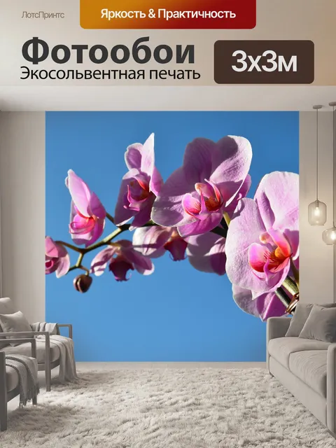 Фотообои Орхидея