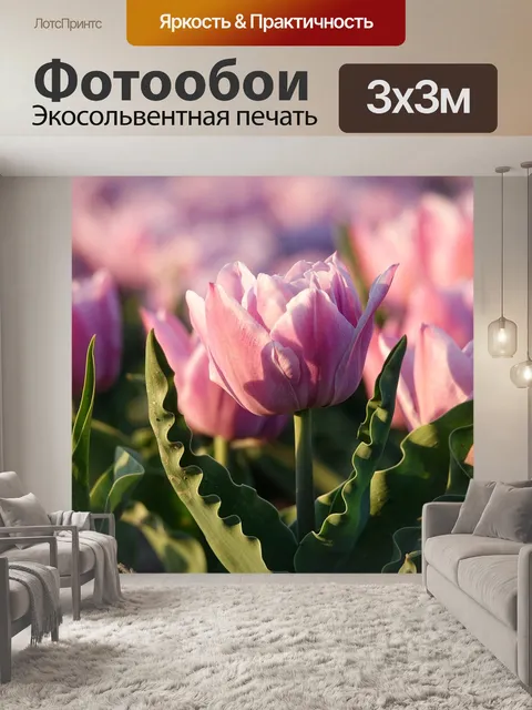 Фотообои Тюльпаны