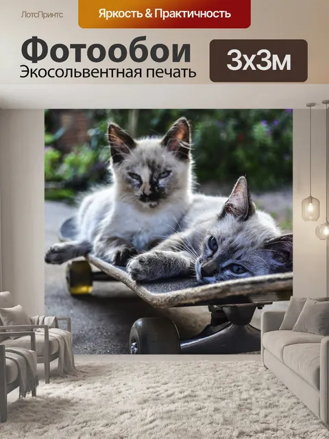 Фотообои Кошка