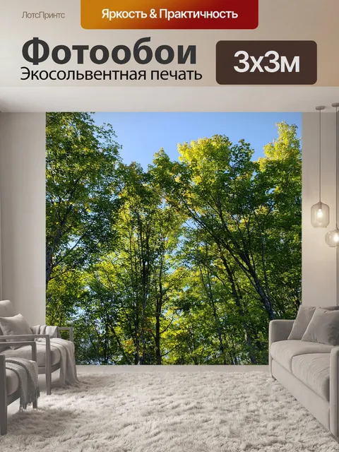 Фотообои Лесные деревья летом