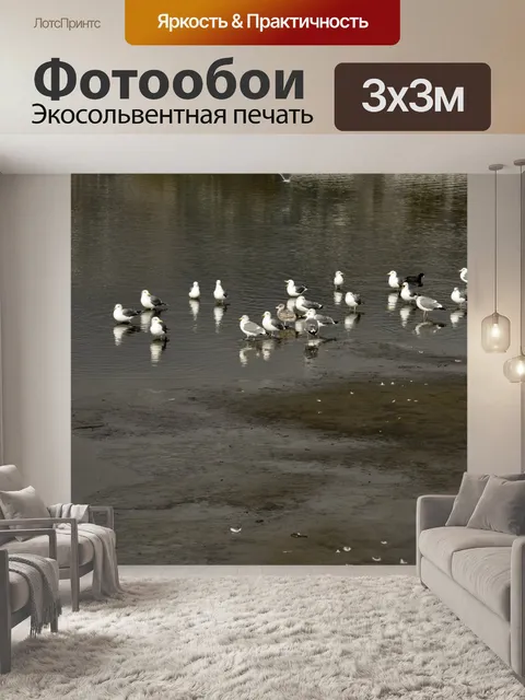 Фотообои Галл Отражение