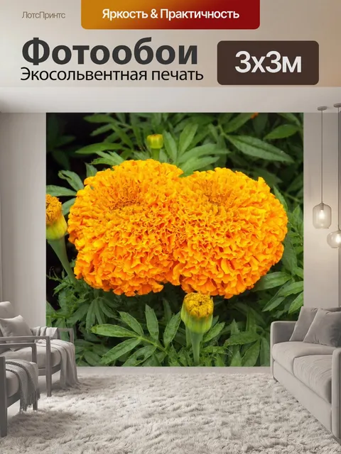 Фотообои всплеск желтого