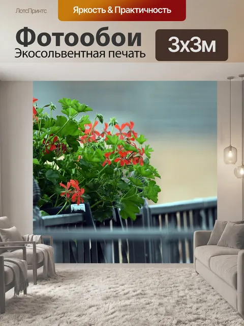 Фотообои Горшок