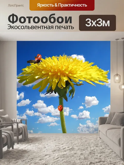Фотообои Цветок