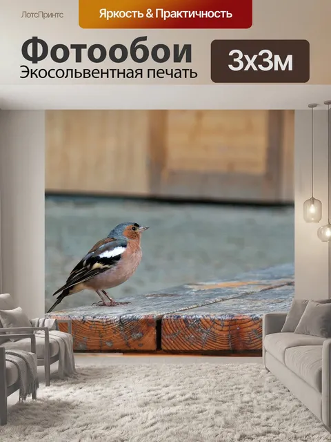 Фотообои Птица