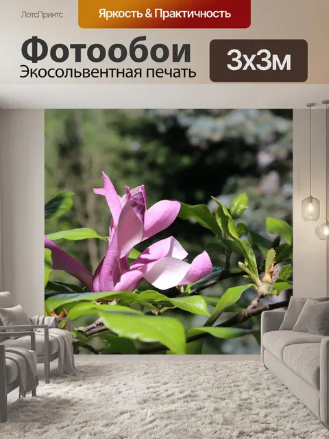 Фотообои Магнолии