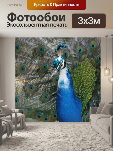 Фотообои Павлин