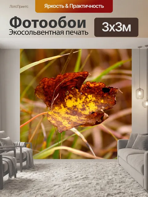 Фотообои Осенний лист