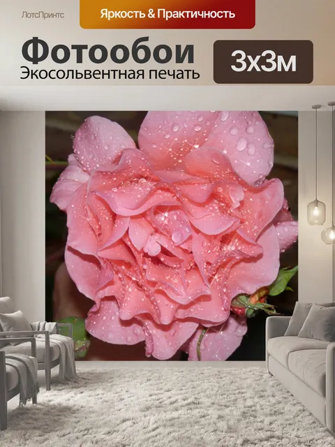 Фотообои Игристое мокрый Роуз