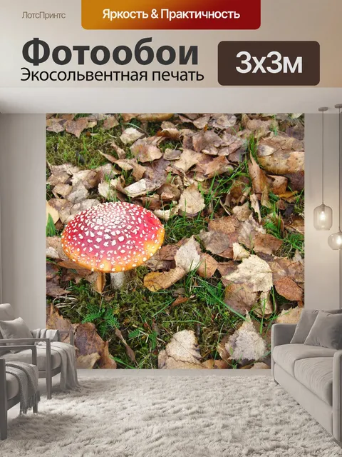 Фотообои В лесу