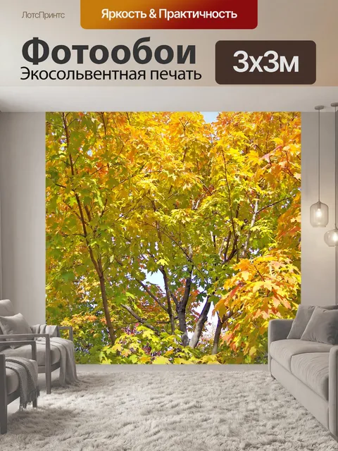 Фотообои Клен листья