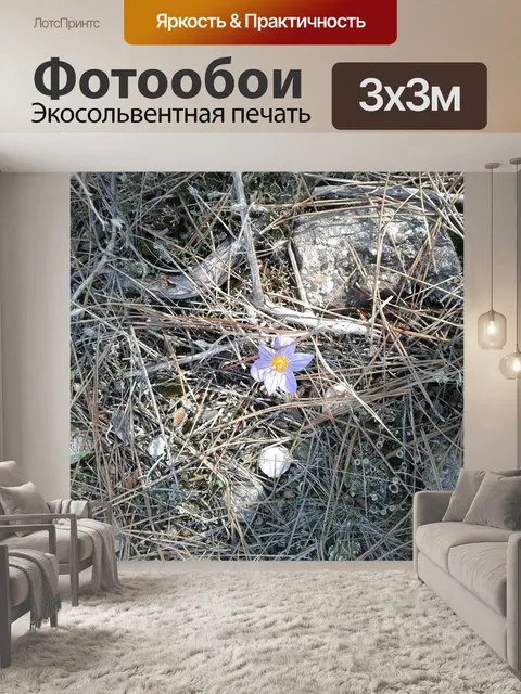Фотообои Сосна