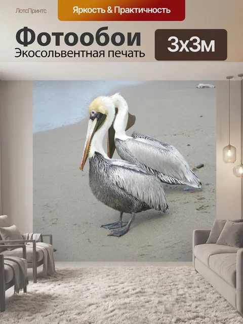 Фотообои Птицы