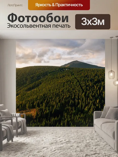 Фотообои Воздуха