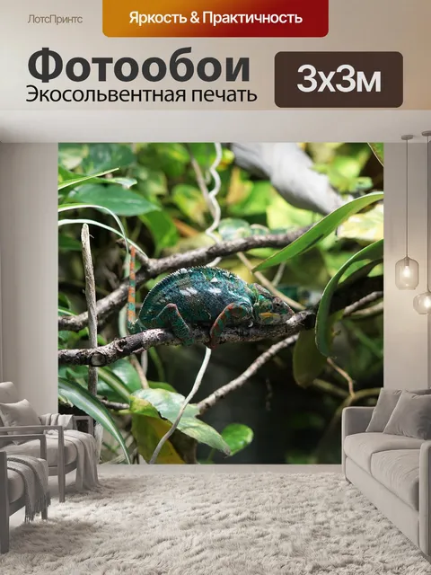 Фотообои Животное