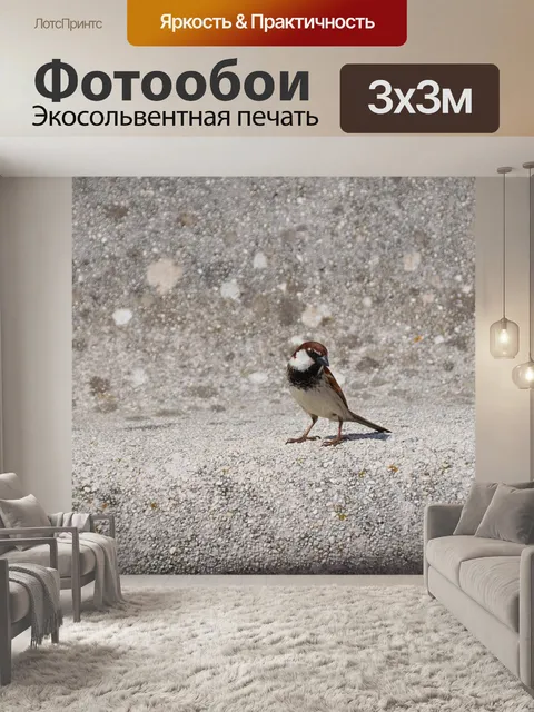 Фотообои Птица