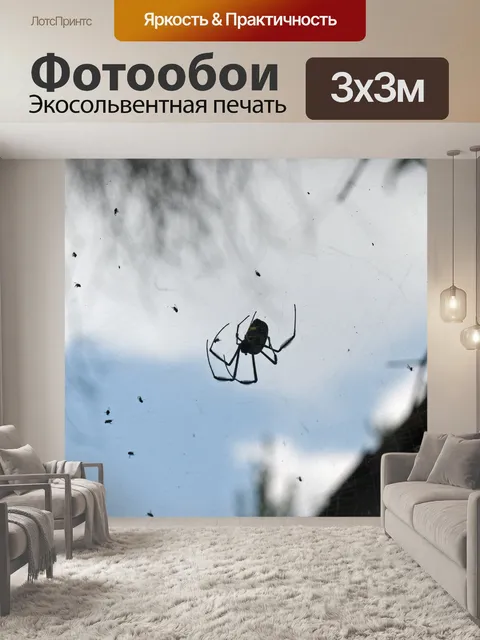 Фотообои маленькие комары в паутине с пауком
