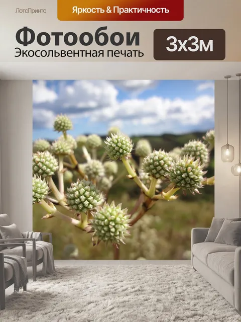Фотообои Природа
