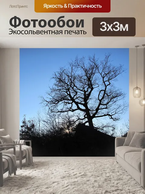 Фотообои Контраст