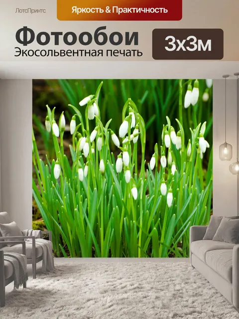 Фотообои Первый цветок весной