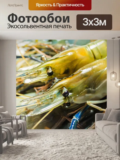 Фотообои Свежие приготовленные креветки фон мореп